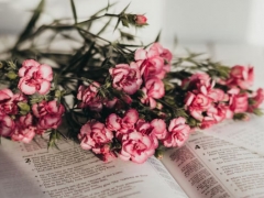 ������ְ������ѵ��������Щ_�ļҺ�/