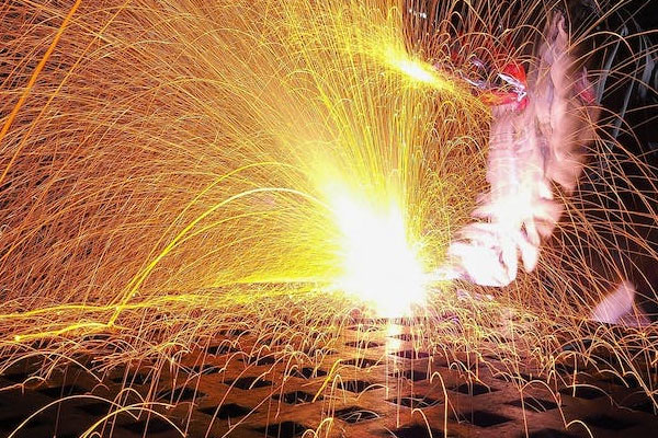 �����纸��ѵ