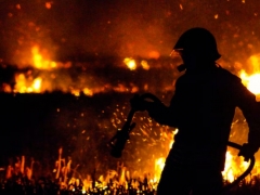 �γ�һ����������ʦ������ѵ��������/