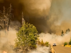 ����һ����������ʦ������ѵ��������/