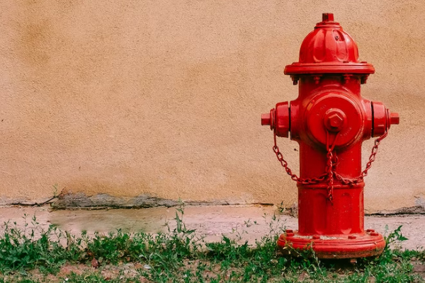 ����һ����������ʦ������ѵ��������