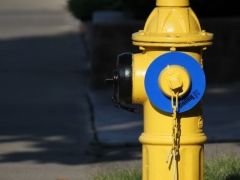 ����һ����������ʦ������ѵ��������/