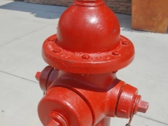 ����һ����������ʦ������ѵ��������/