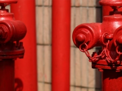 ���һ����������ʦ������ѵ��������/