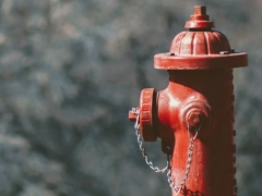 ���һ����������ʦ������ѵ��������/