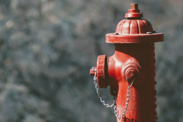 ���һ����������ʦ������ѵ��������