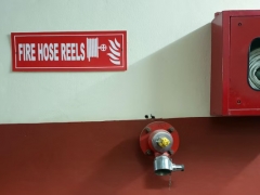 ʮ��һ����������ʦ������ѵ��������/