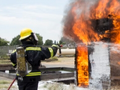 ����һ����������ʦ������ѵ��������/