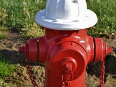 �ɶ�һ����������ʦ������ѵ��������/