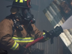 ����һ����������ʦ������ѵ��������/