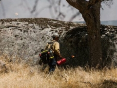 ���һ����������ʦ������ѵ��������/