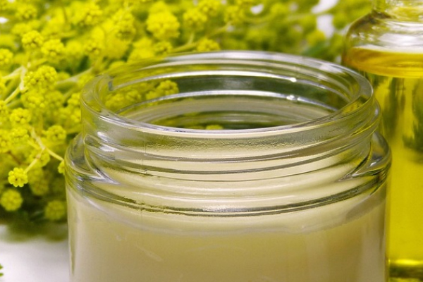 ���Ľ�������ʦ������ѵ��������Щ���ĸ��ȽϺã�