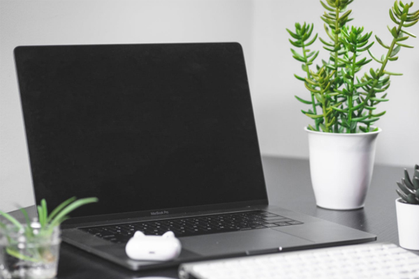 ʯ��ɽ����ʦ������ѵѧУ�ļҺ�