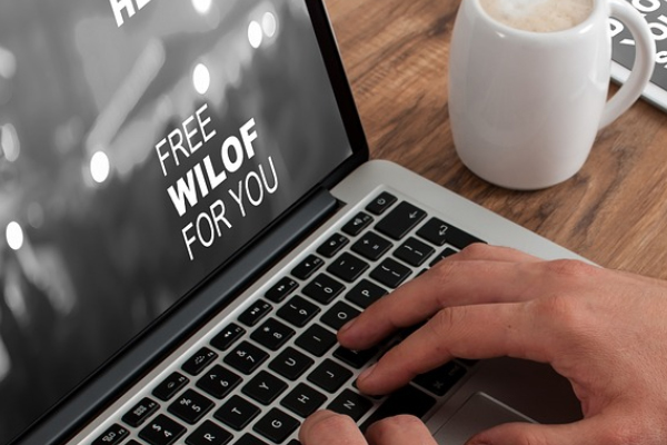 �������Ӫ����ѵ�ĸ���_�۸����Ǯ