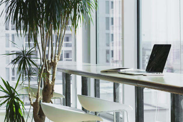 �����繤֤��ѵ�����ļҺ�_����