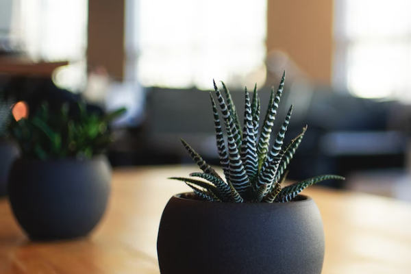 �����繤֤��ѵ�����ļҺ�_����