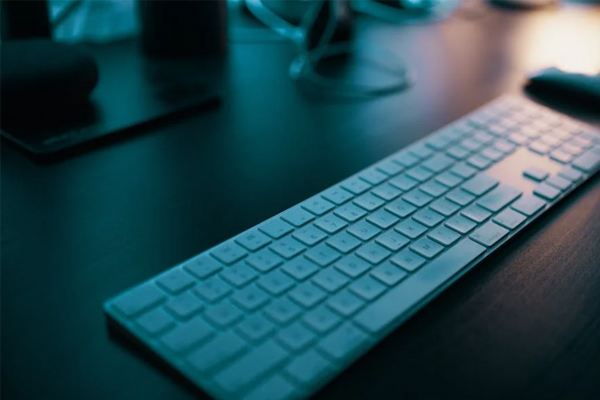 ��������Ƶ���������ѵ��