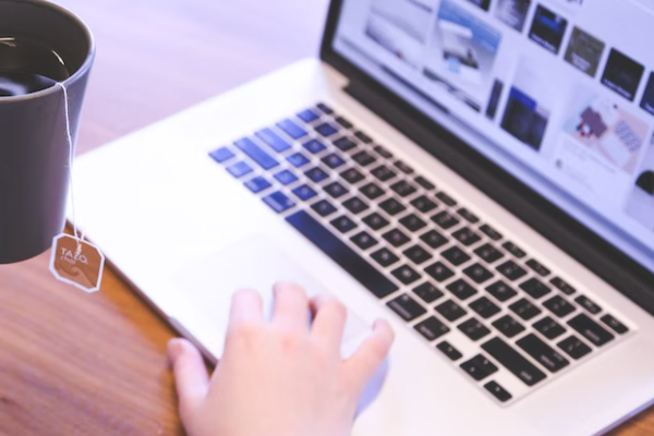 ��������Ƶ���������ѵ��