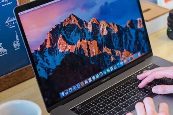 ��������Ƶ���������ѵ��