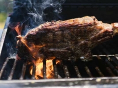 ��������±����ѵ�ļҺ�_����ѧ��/