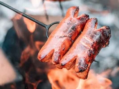 ��ݸ����С����ѵ-