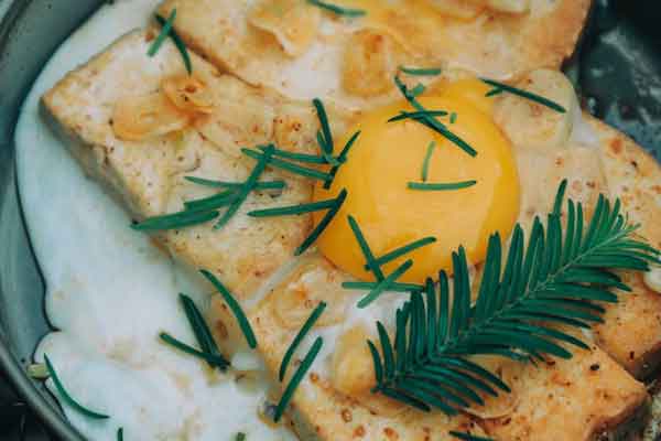 �������С����ѵ- ׬Ǯ����Ŀ�Ƽ�