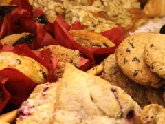 ����С����ѵ-