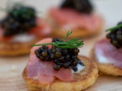 ����С����ѵ-