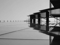 ɽ��������ѵ��������/