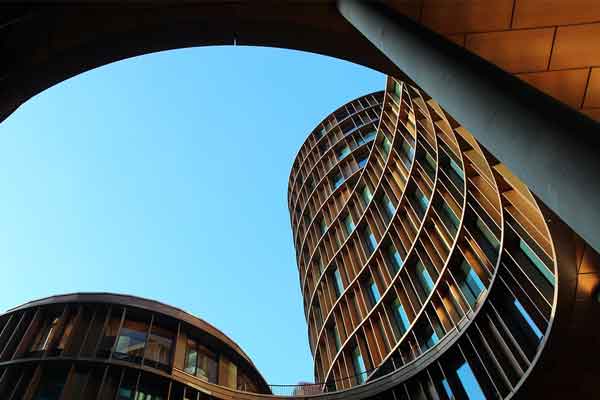 ����������ѵ��������