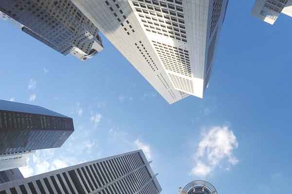 ����������ѵ��������