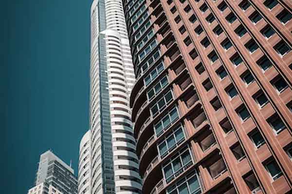 ����������ѵ��������