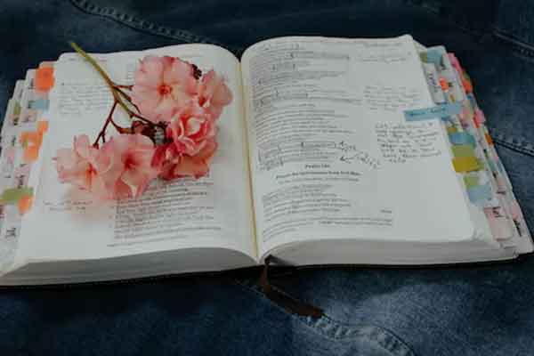 太仓上国际高中需要什么条件