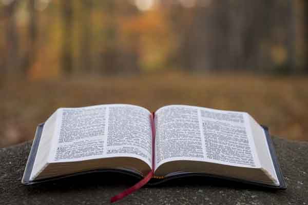 ������ʸ���¼ȡ������