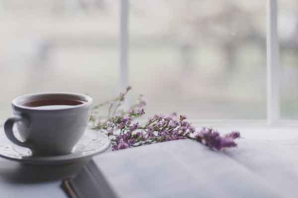 上海国际高中学校有哪些