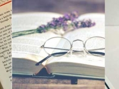 ��˶�����ѻ���ͳ����/