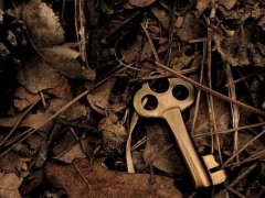 ������ҵ�����ʸ�֤��ô��/