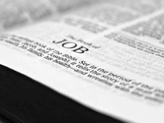 �ձ�������ѧ�н����/