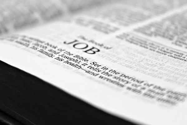 �ձ�������ѧ�н����