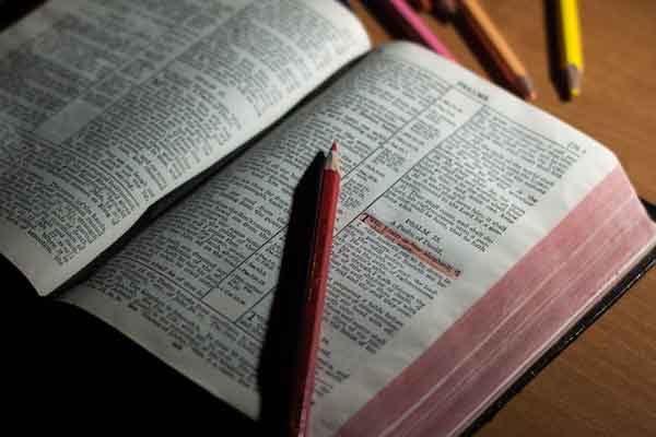 �¹�������ѧ�н����