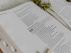 ����������ѧ�н����/