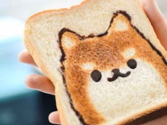 �Ͼ�����������ѧ�������͵�/