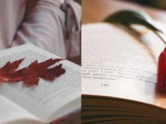 �����첼����Ӣ����ѵ��������/