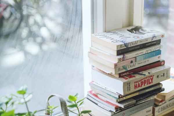 ��ɽ����Ӣ����ѵ��������