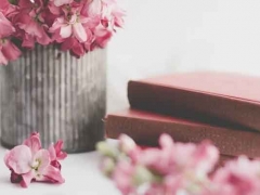 ��������Ӣ����ѵ��������/