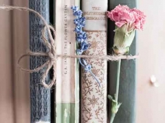 ���ݿ���Ӣ����ѵ��������/