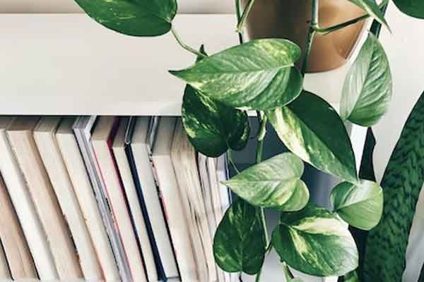 内江海文考研集训营地址