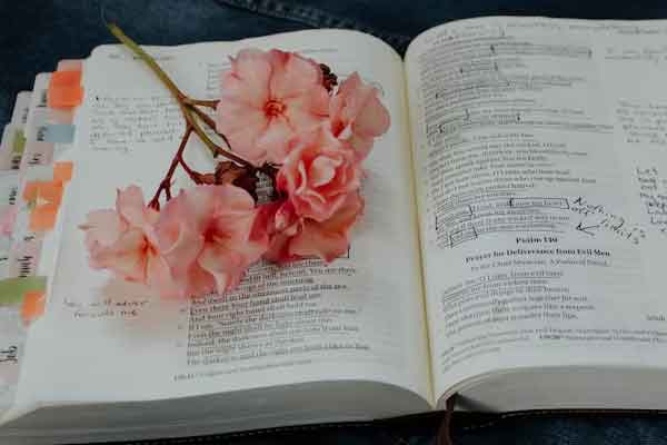 �������Ŀ��м�ѵӪ��ַ