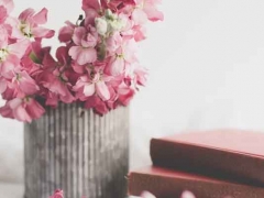 ���������տ��Ļ��μ�ѵ��ѵ����/