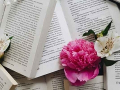 ���������տ��Ļ��μ�ѵ������/